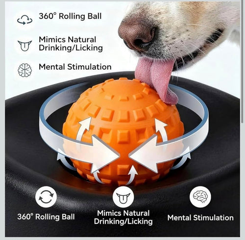 Anti-Choking Slow Feeder Bowl