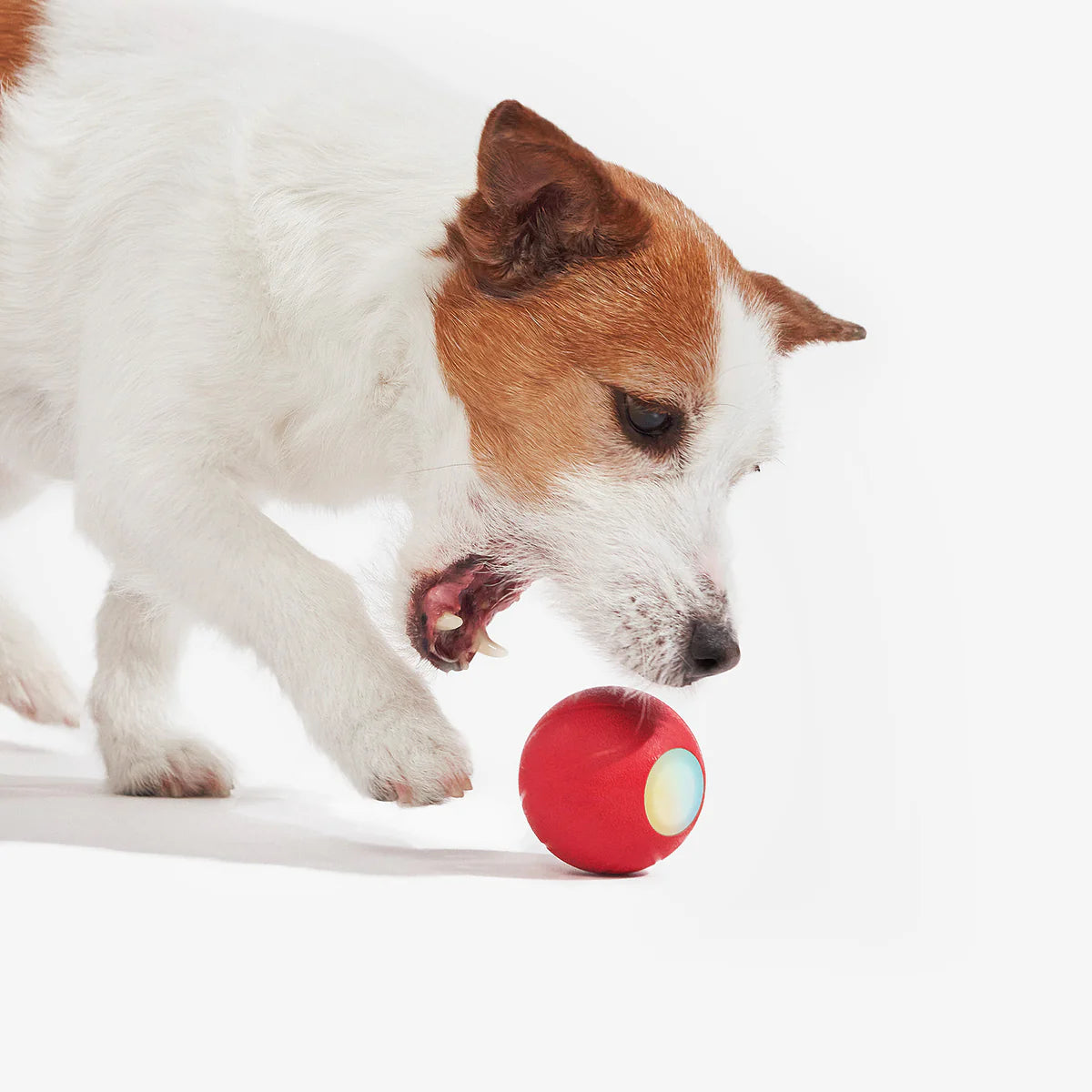 SMART DOG TOYS BALL ELECTRONIC