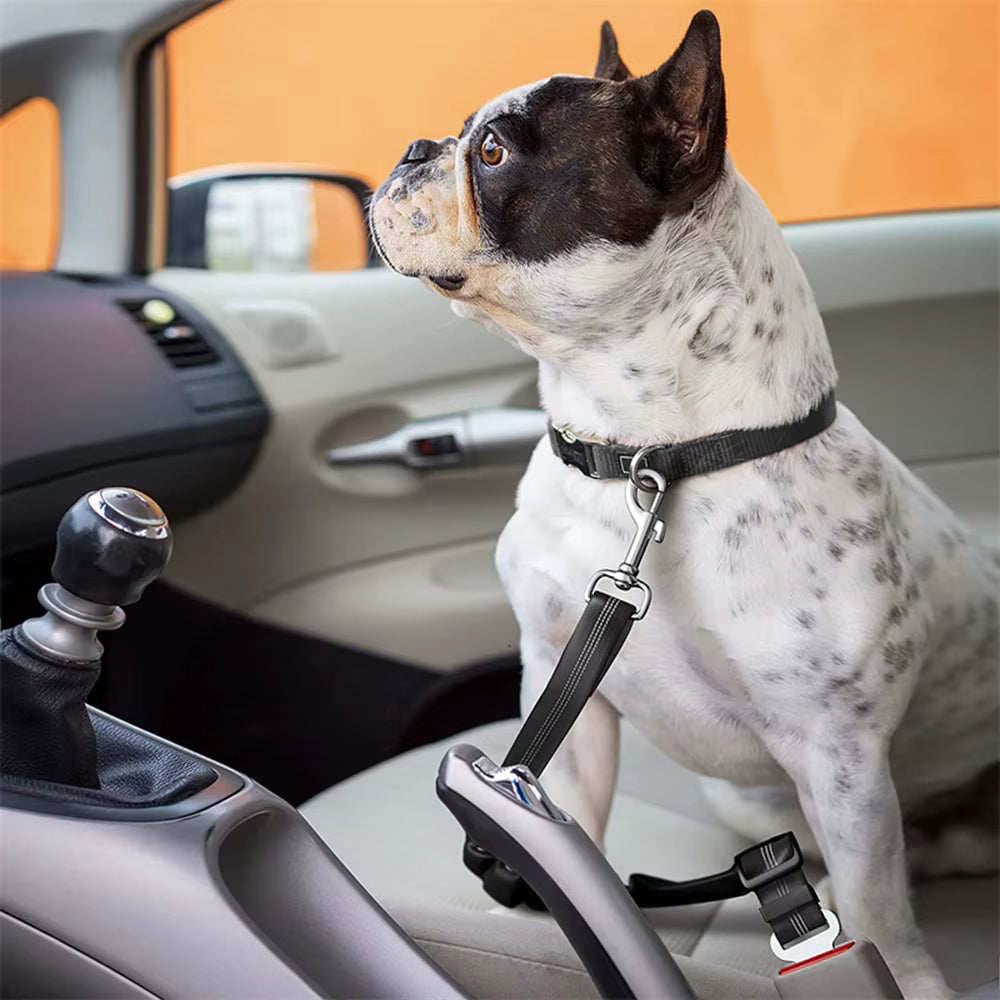 Anti-Shock Bungee Dog Seat Belt