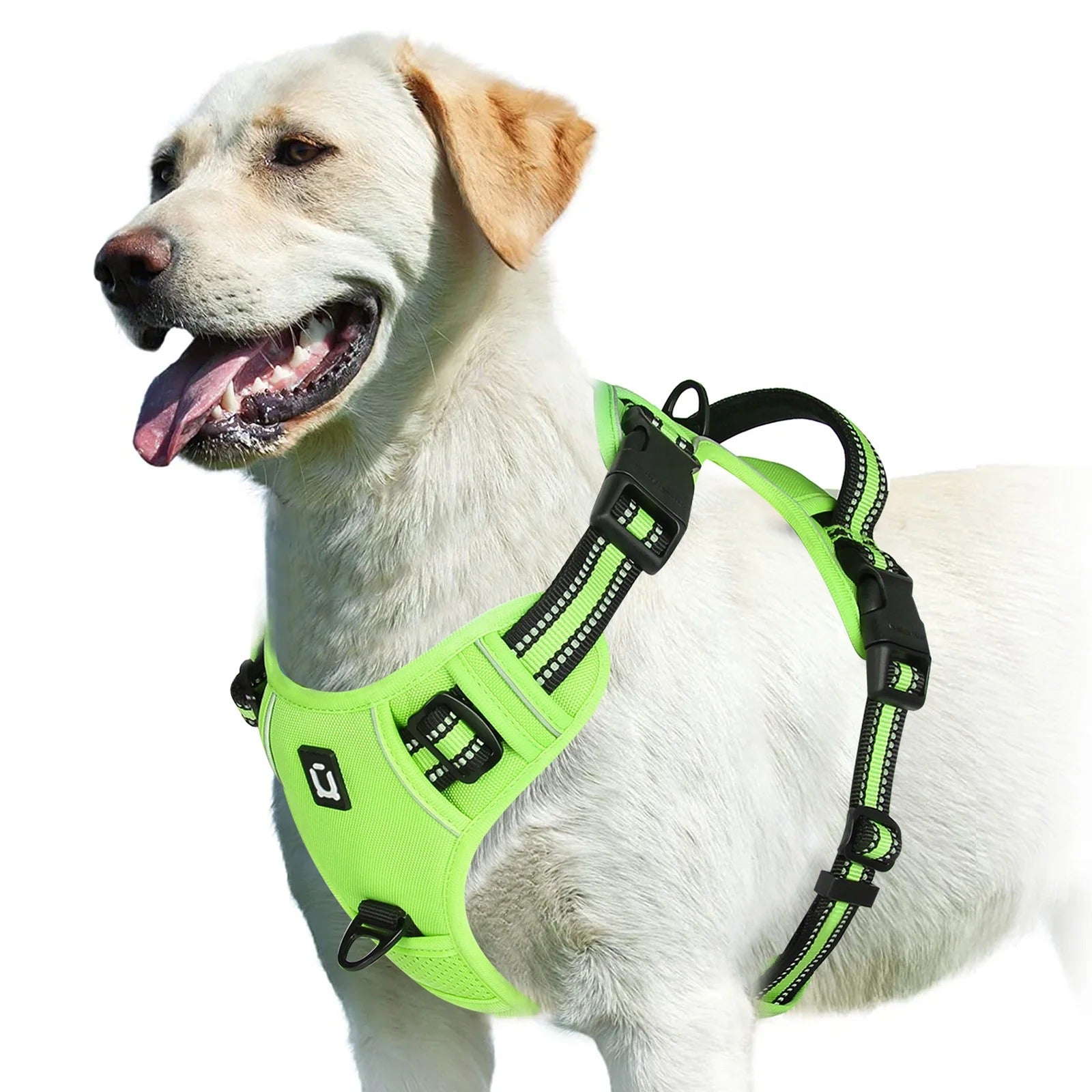 No Pull Dog Harness