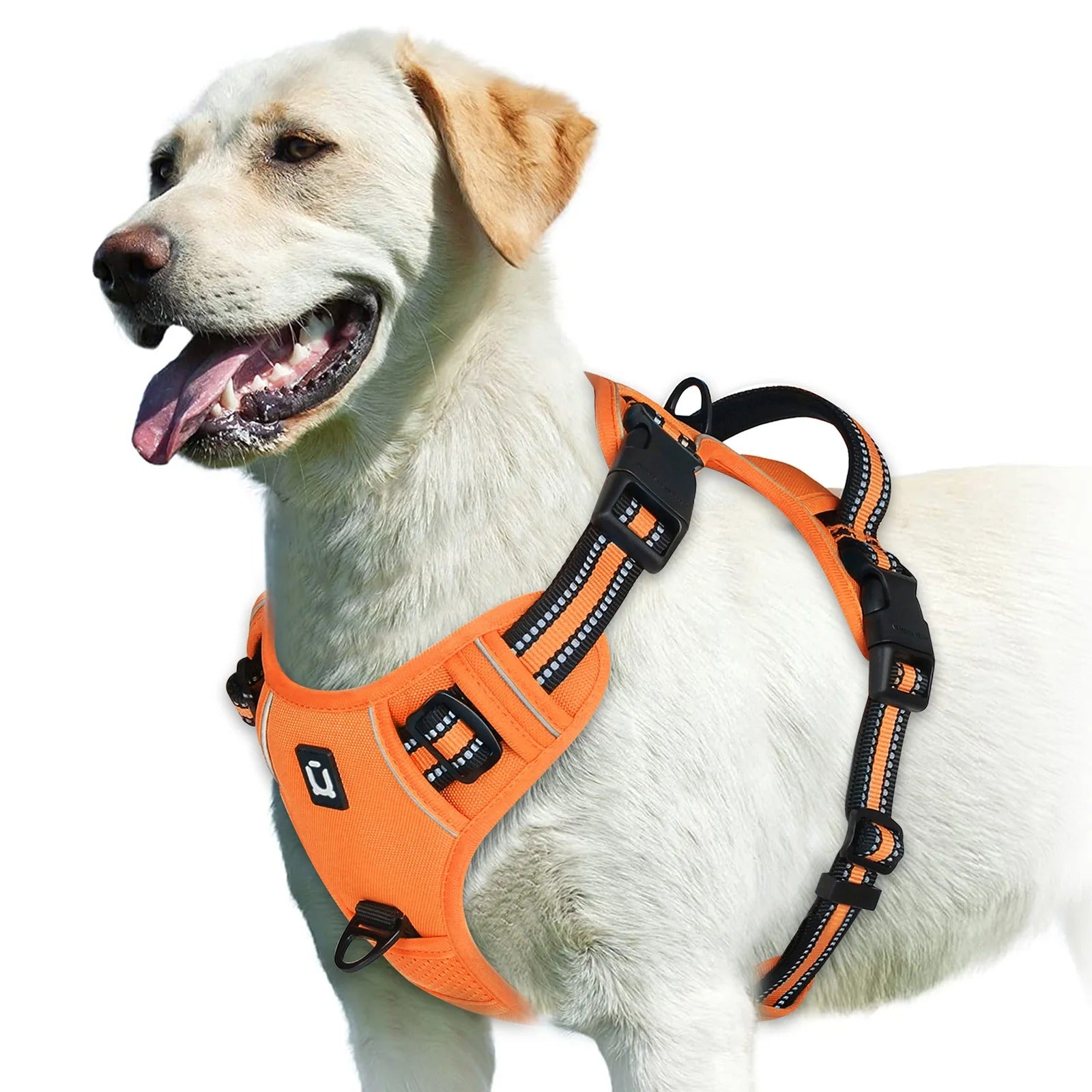 No Pull Dog Harness