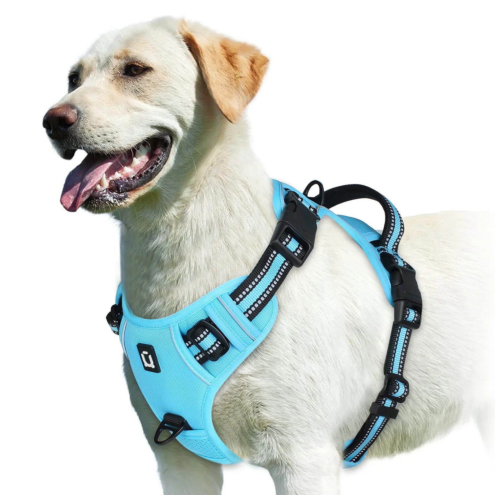No Pull Dog Harness