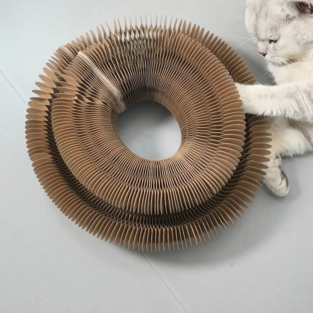 Kitty Kurlz Cat Toy