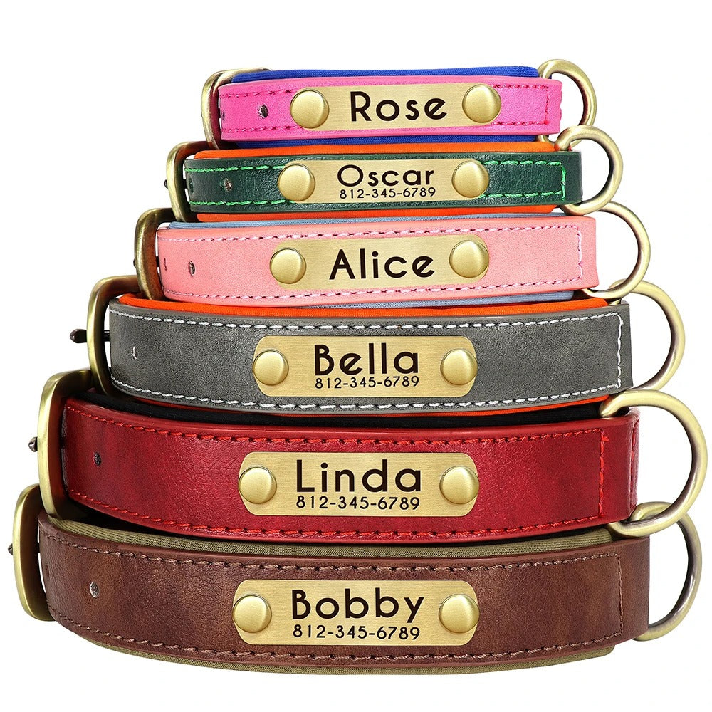 Customized Leather Dog Collar and Leash