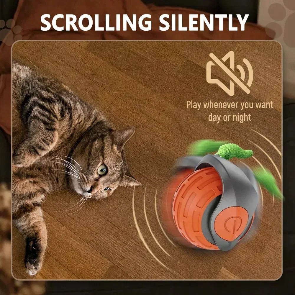 Speedy Tail 2.0 Cat Toy