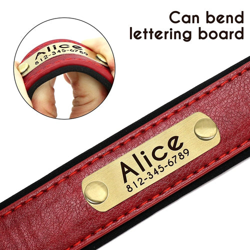 Customized Leather Dog Collar and Leash