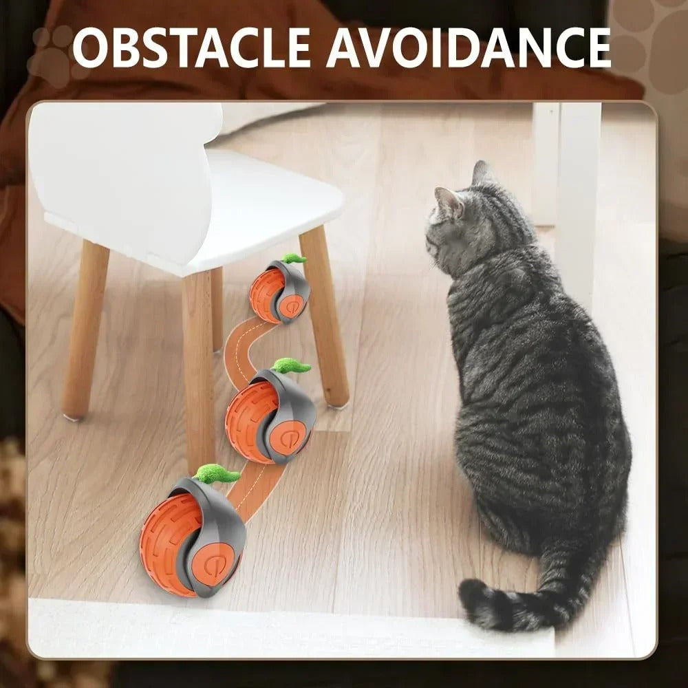 Speedy Tail 2.0 Cat Toy
