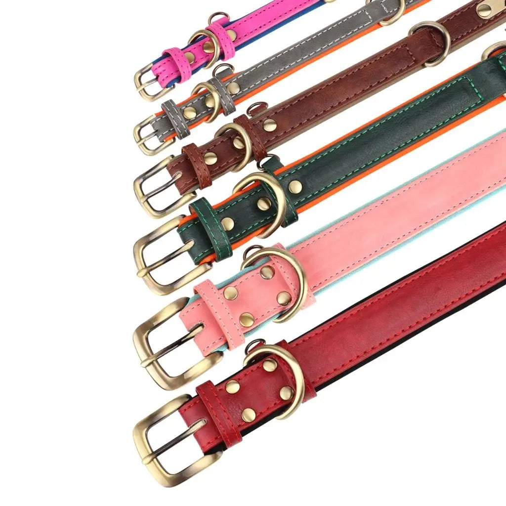 Customized Leather Dog Collar and Leash