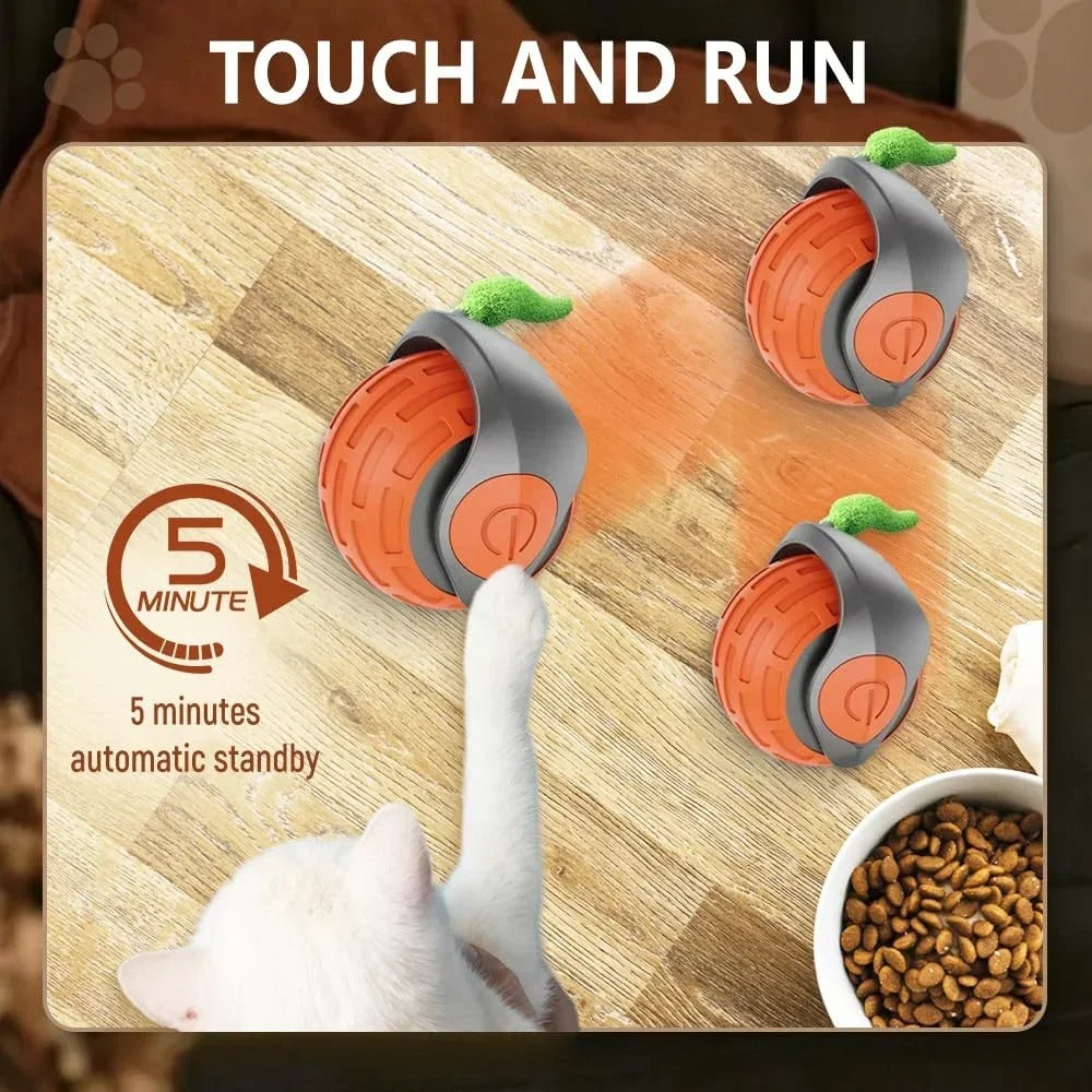 Speedy Tail 2.0 Cat Toy