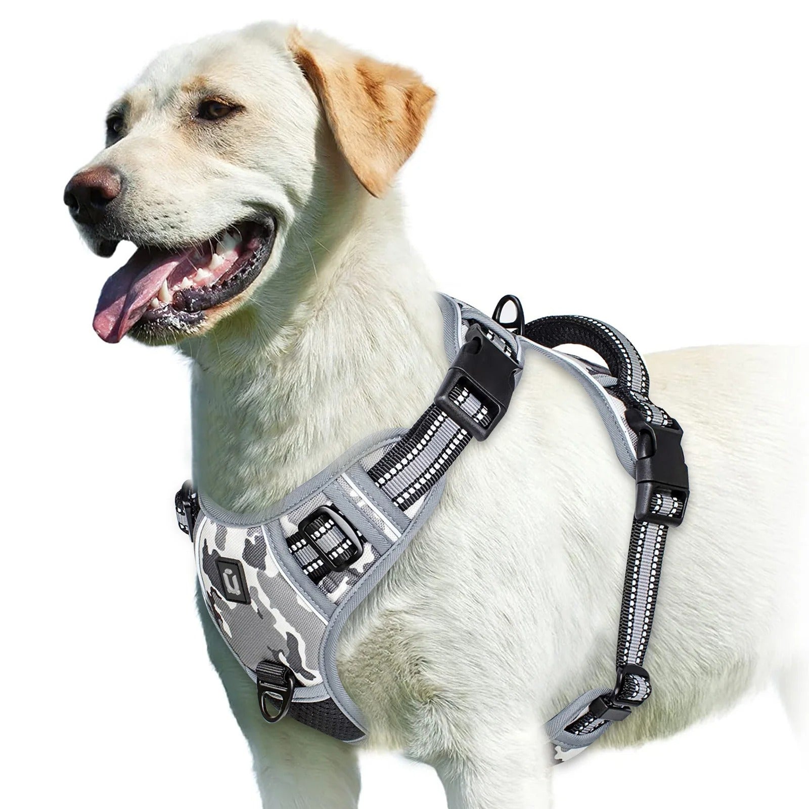 No Pull Dog Harness