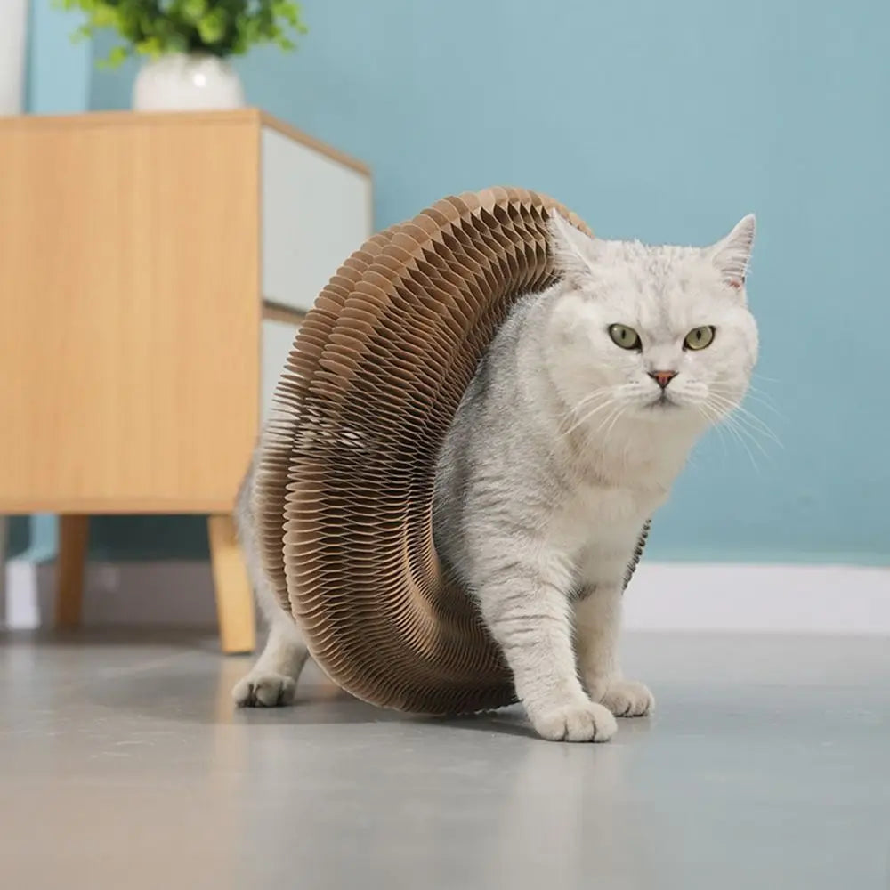 Kitty Kurlz Cat Toy