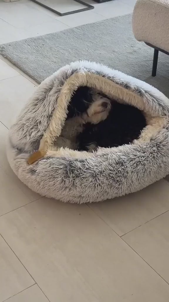 Cocoon Pet bed