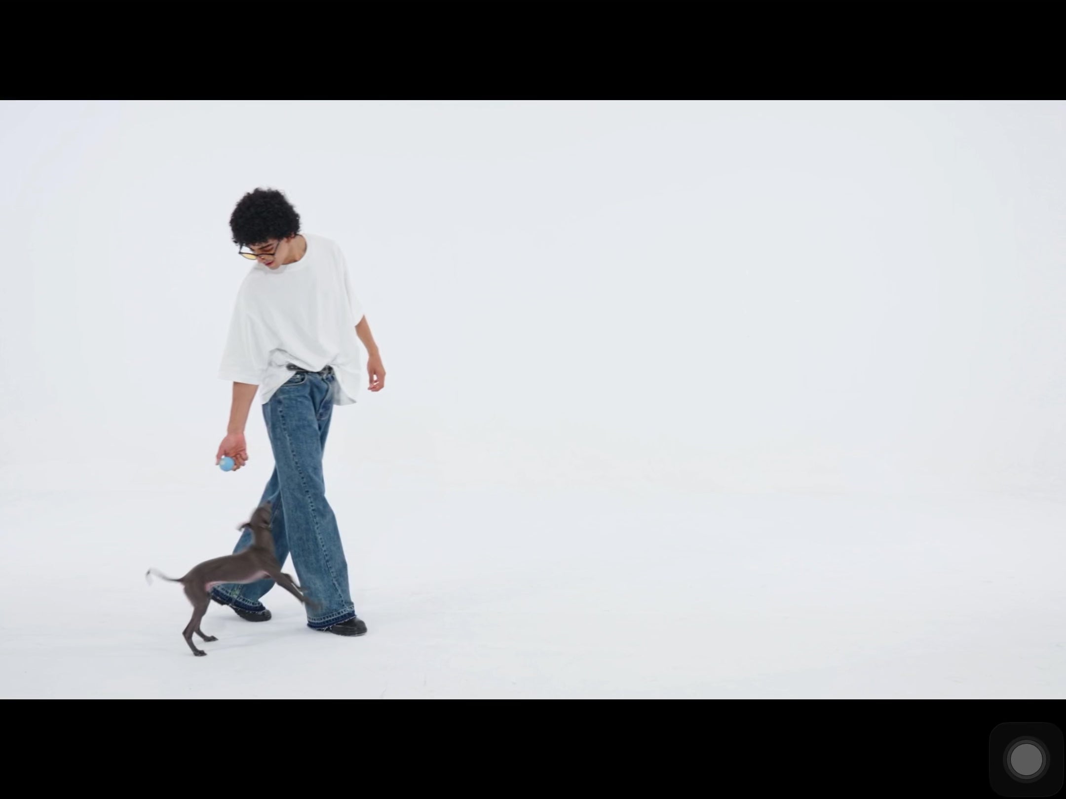 SMART DOG TOYS BALL ELECTRONIC