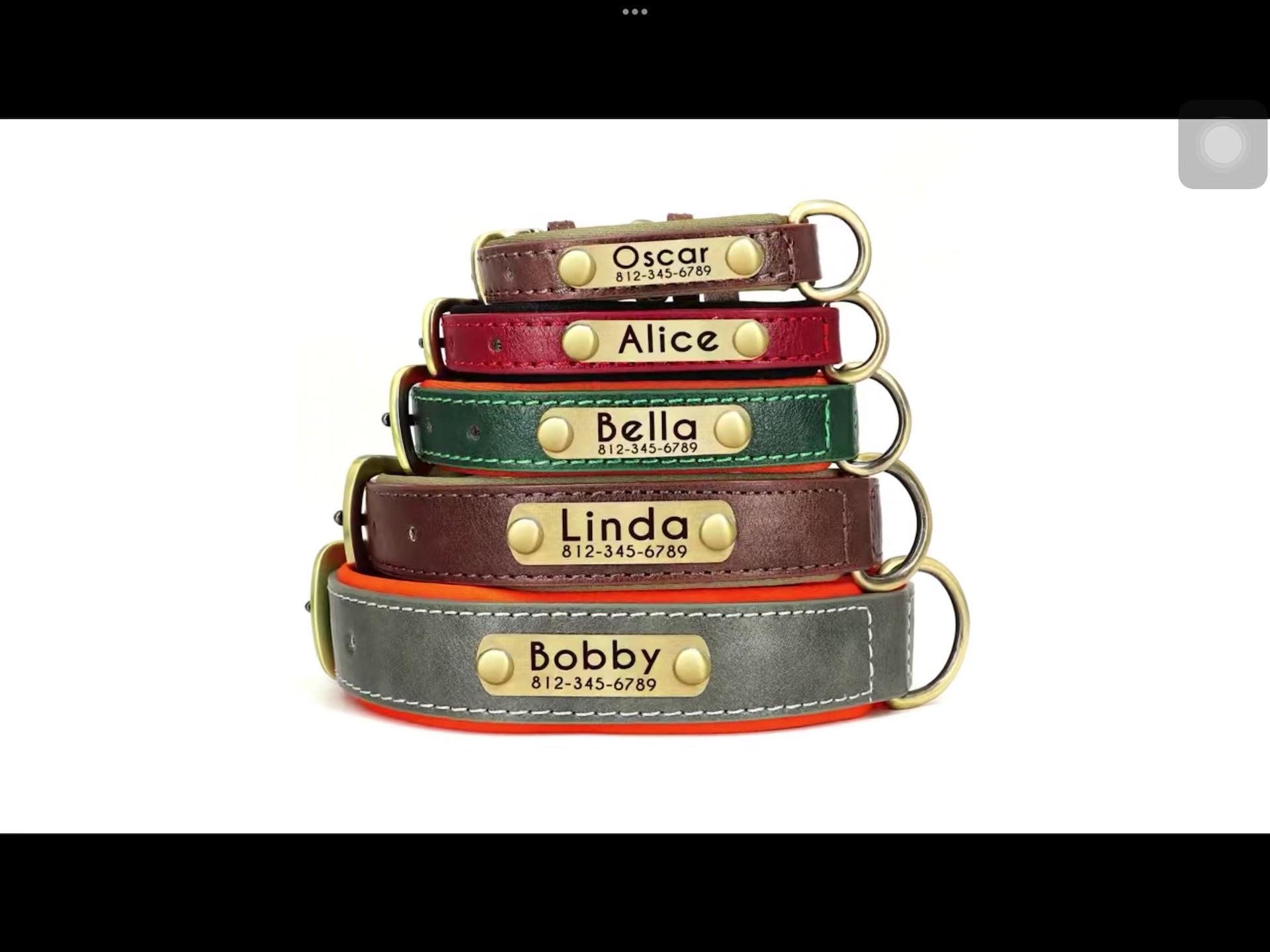 Customized Leather Dog Collar and Leash