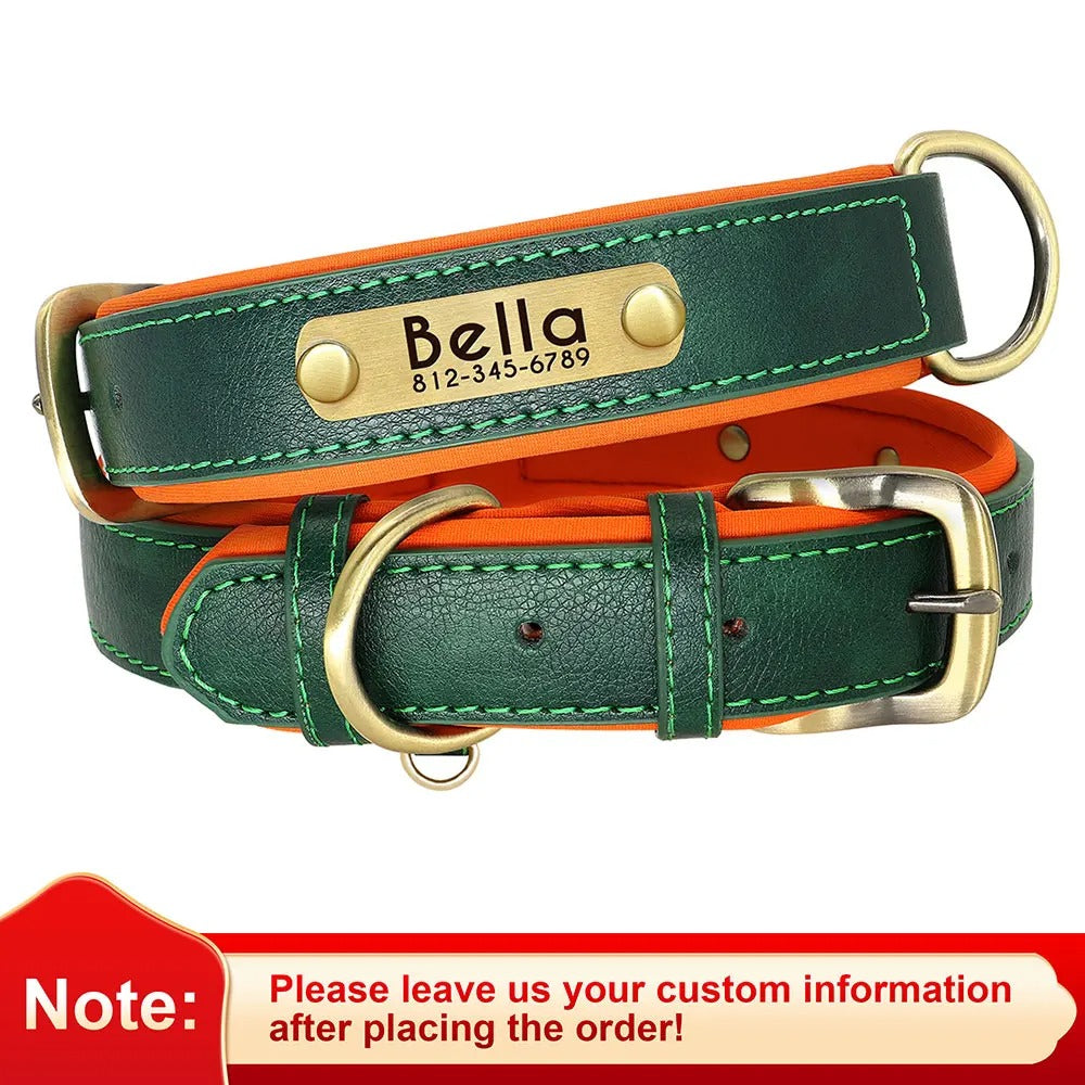 Customized Leather Dog Collar and Leash